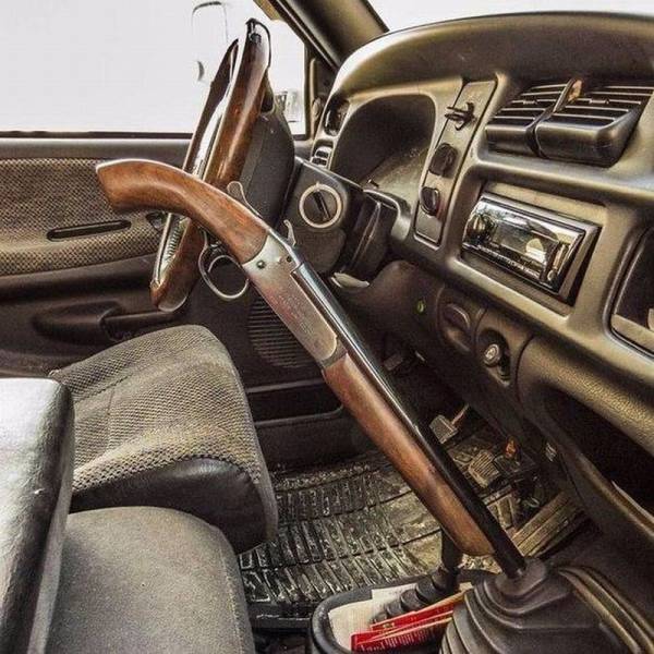 Daily Picdump