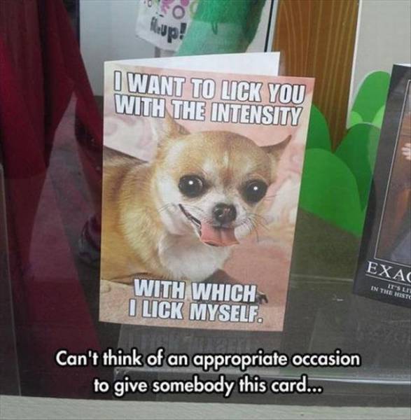 Daily Picdump