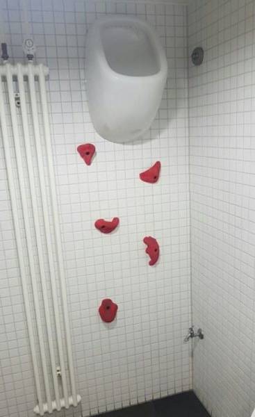 Daily Picdump