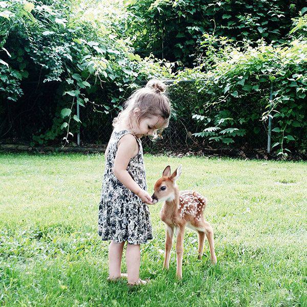 daily picdump 94 pics 35.html - 94 HD Photos | Premium Gallery 2017