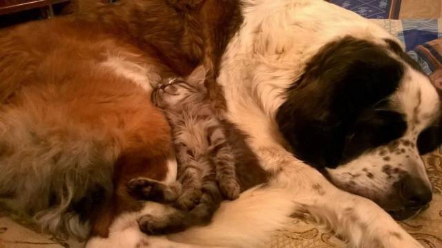 daily picdump 94 pics 35.html - 94 HD Photos | Premium Gallery 2017