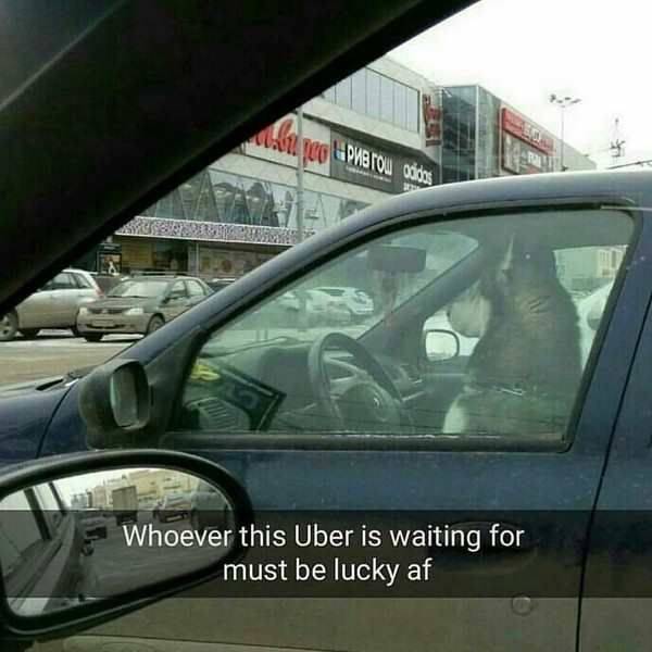 daily picdump 94 pics 35.html - 94 HD Photos | Premium Gallery 2017