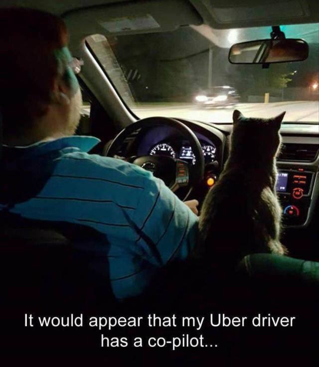 Daily Picdump
