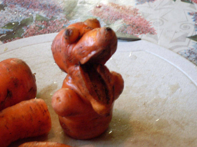 Morning Picdump