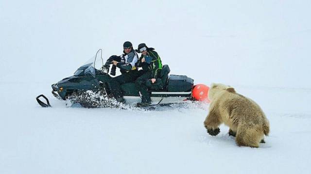 Daily Picdump