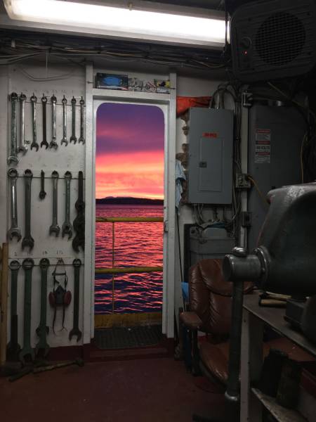 daily picdump 95 pics 41.html - 95 HD Photos | Premium Gallery 2017