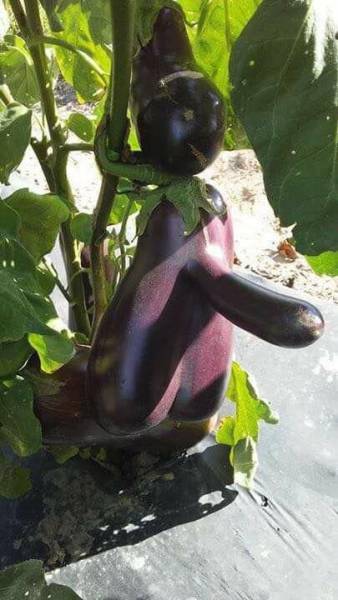 daily picdump 95 pics 41.html - 95 HD Photos | Premium Gallery 2017