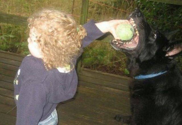 daily picdump 95 pics 41.html - 95 HD Photos | Premium Gallery 2017