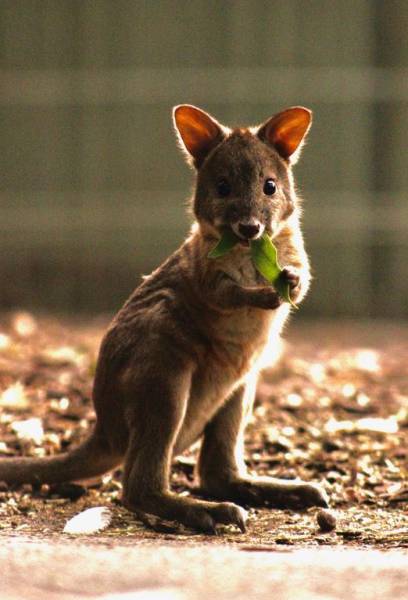 daily picdump 95 pics 41.html - 95 HD Photos | Premium Gallery 2017