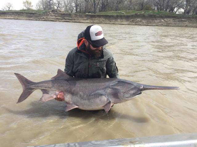 daily picdump 95 pics 41.html - 95 HD Photos | Premium Gallery 2017