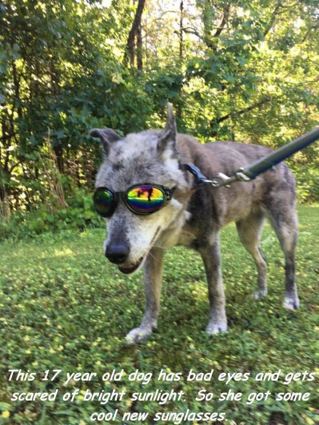 daily picdump 95 pics 41.html - 95 HD Photos | Premium Gallery 2017