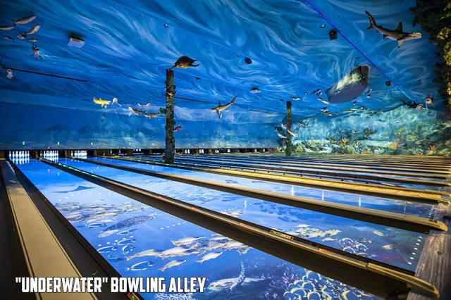 morning picdump 53 pics 12.html - 53 HD Photos | Premium Gallery 2017