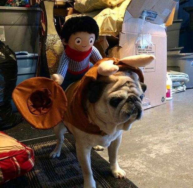 morning picdump 53 pics 12.html - 53 HD Photos | Premium Gallery 2017