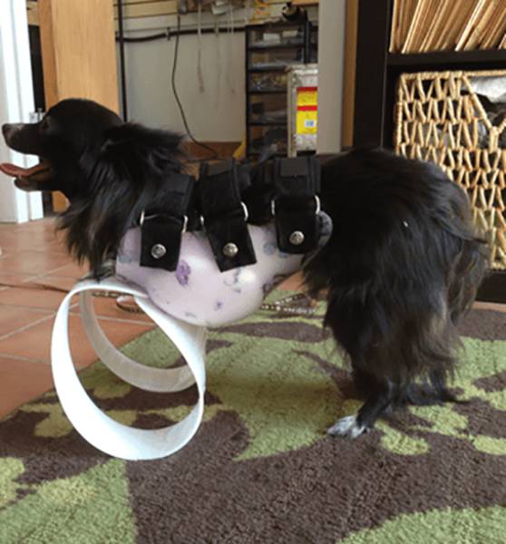 morning picdump 53 pics 12.html - 53 HD Photos | Premium Gallery 2017