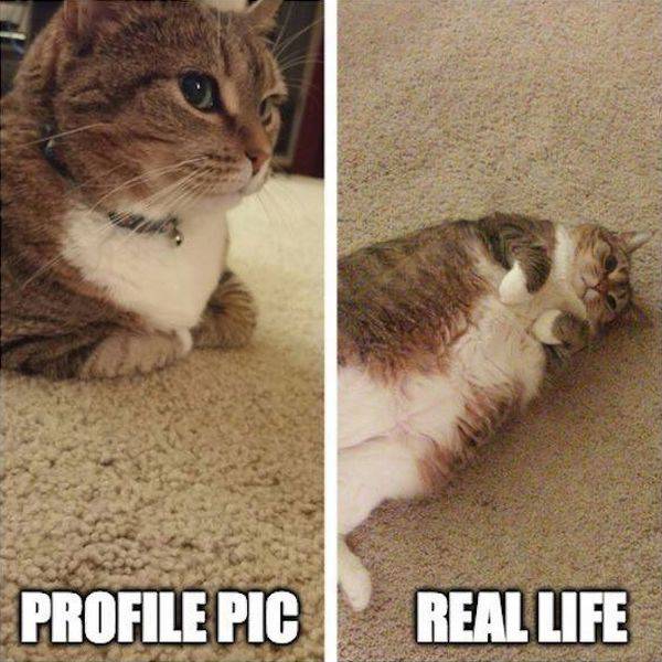 Daily Picdump