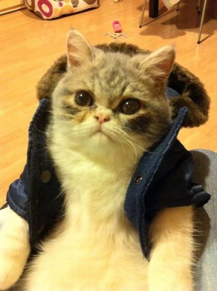 Daily Picdump