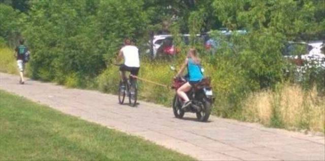 Daily Picdump