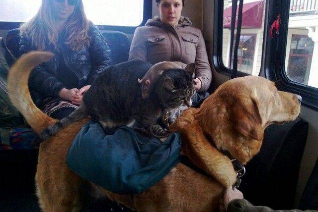 Daily Picdump