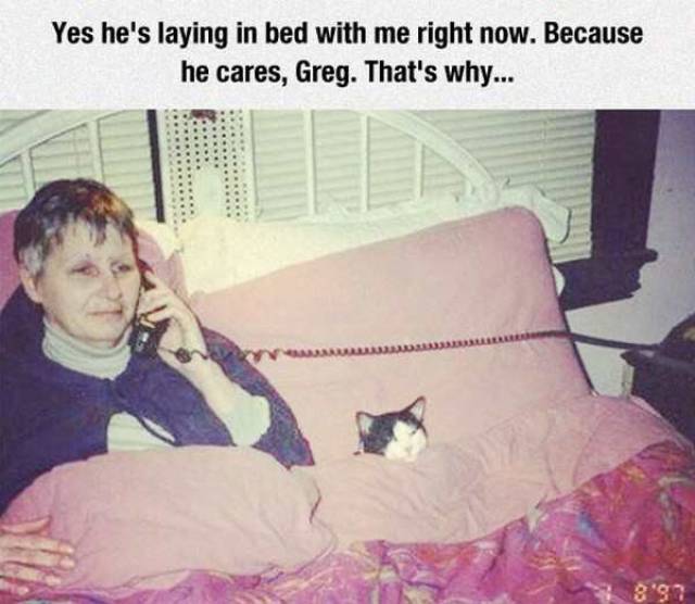 Daily Picdump
