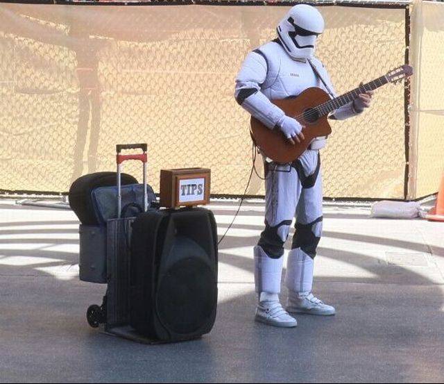 Daily Picdump