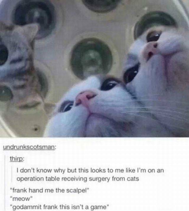 Daily Picdump