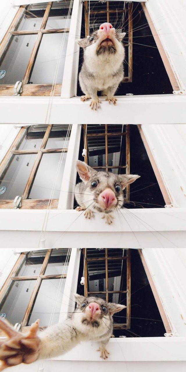 daily picdump 101 pics 18.html - 101 HD Photos | Premium Gallery 2017