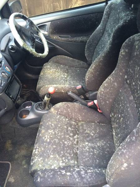 morning picdump 53 pics 25.html - 53 HD Photos | Premium Gallery 2017