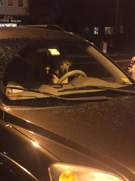 morning picdump 53 pics 25.html - 53 HD Photos | Premium Gallery 2017