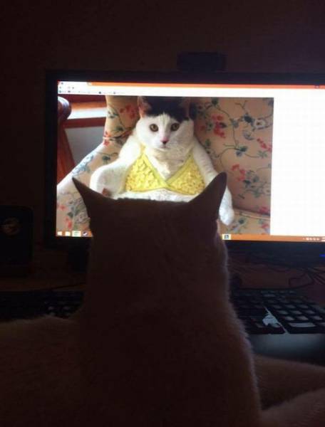 daily picdump 103 pics 19.html - 103 HD Photos | Premium Gallery 2017