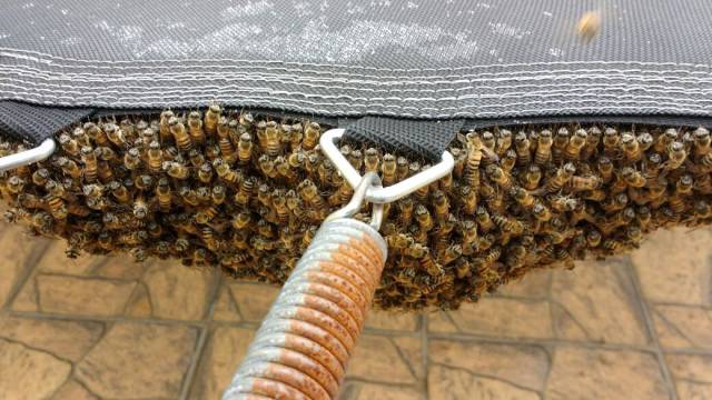 daily picdump 103 pics 19.html - 103 HD Photos | Premium Gallery 2017