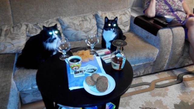 daily picdump 103 pics 19.html - 103 HD Photos | Premium Gallery 2017