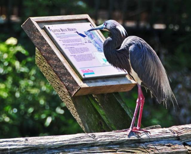 daily picdump 103 pics 19.html - 103 HD Photos | Premium Gallery 2017