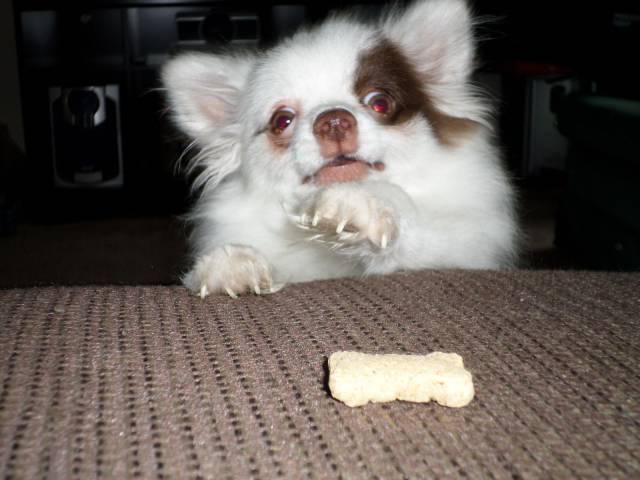 daily picdump 103 pics 19.html - 103 HD Photos | Premium Gallery 2017