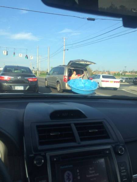 daily picdump 103 pics 19.html - 103 HD Photos | Premium Gallery 2017