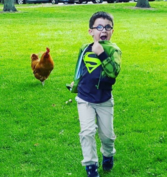 daily picdump 103 pics 19.html - 103 HD Photos | Premium Gallery 2017