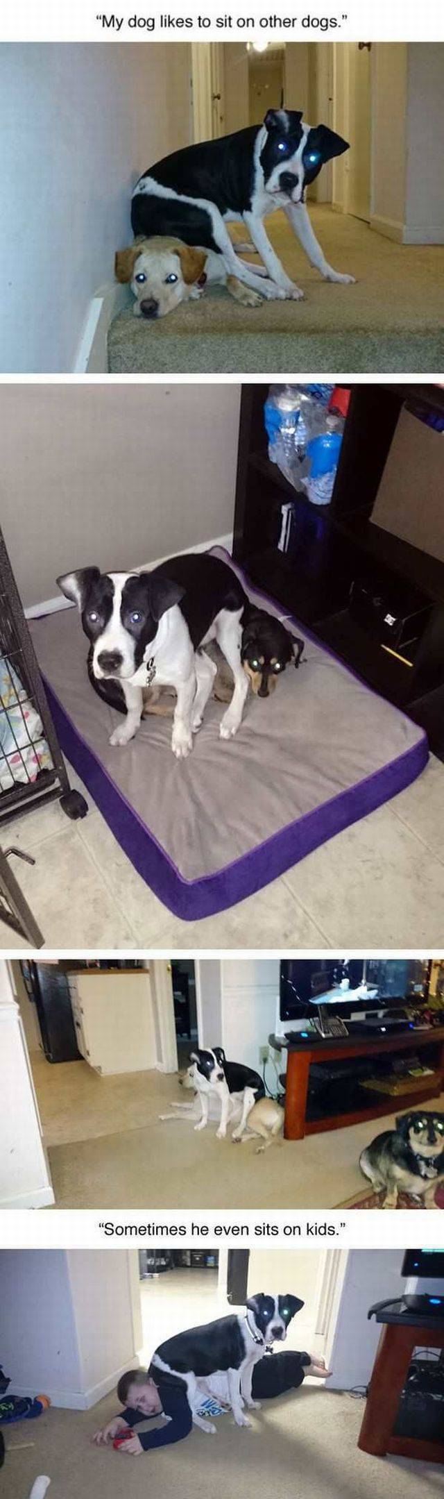 daily picdump 103 pics 19.html - 103 HD Photos | Premium Gallery 2017