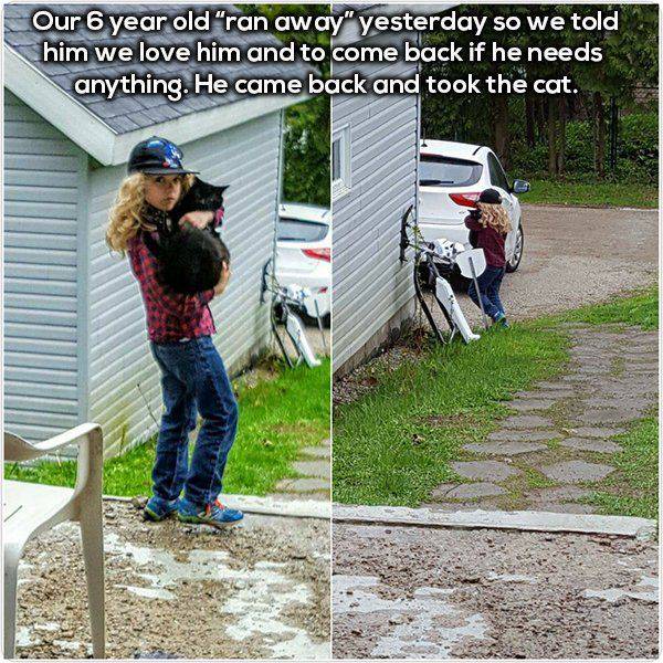 Daily Picdump