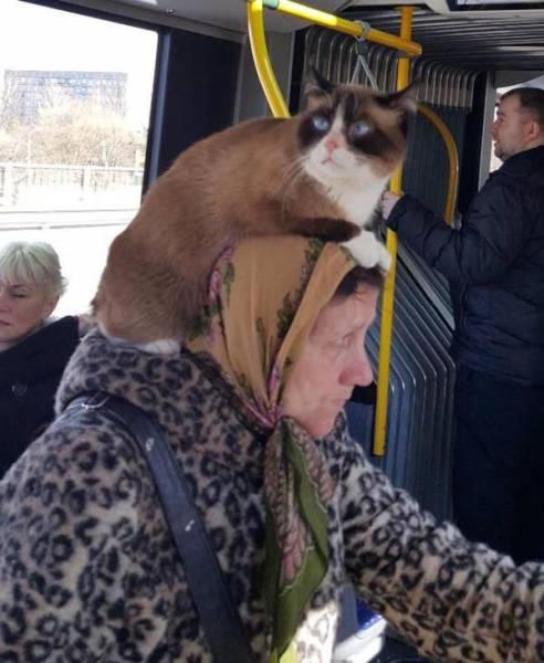 Daily Picdump