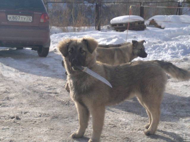 daily picdump 97 pics 46.html - 97 HD Photos | Premium Gallery 2017