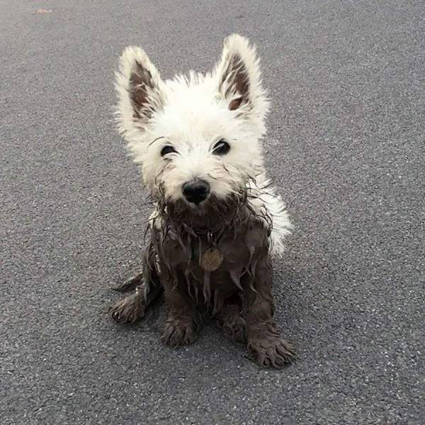 daily picdump 97 pics 46.html - 97 HD Photos | Premium Gallery 2017