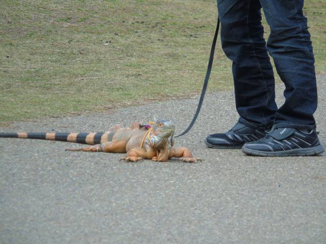 daily picdump 97 pics 46.html - 97 HD Photos | Premium Gallery 2017