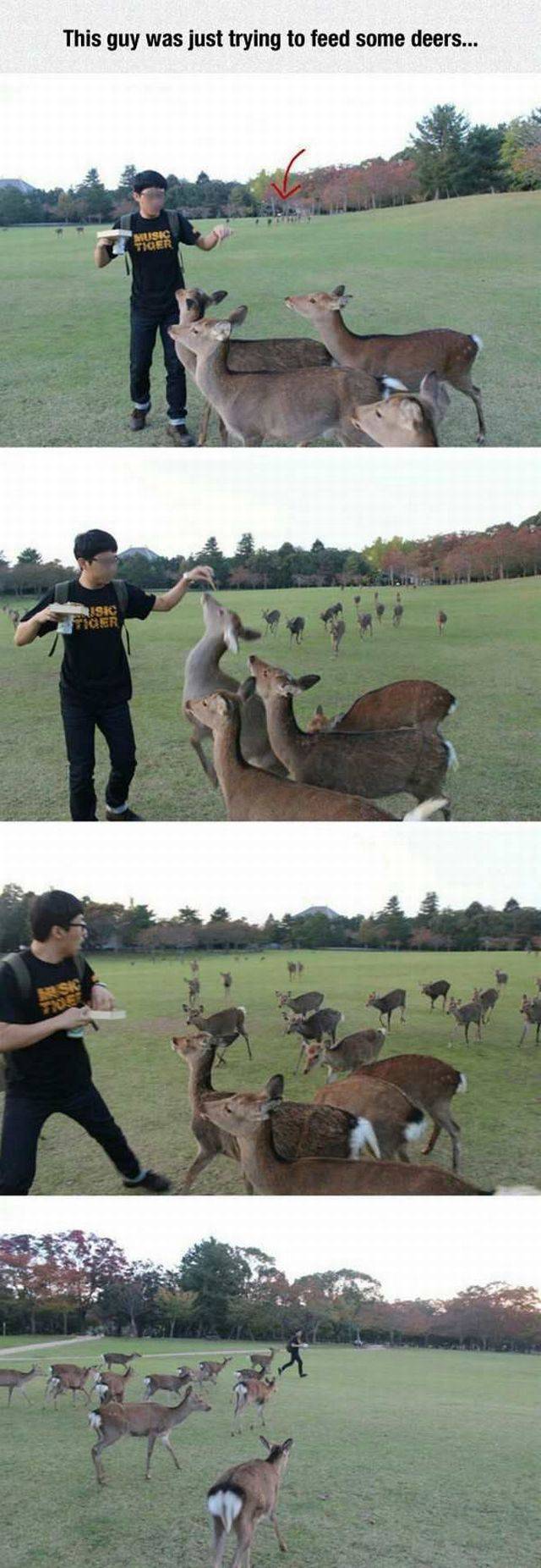 daily picdump 97 pics 46.html - 97 HD Photos | Premium Gallery 2017