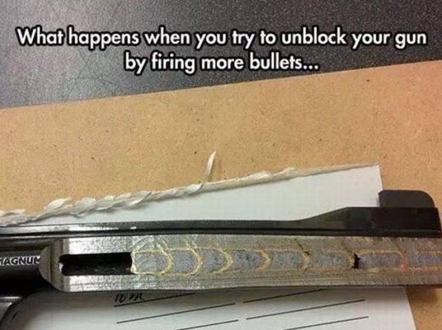 Daily Picdump