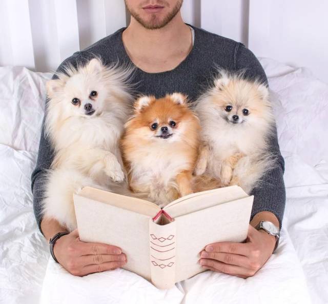 Daily Picdump