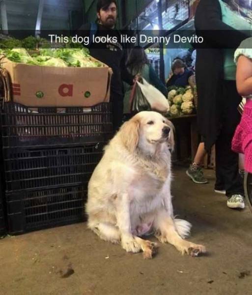 Daily Picdump