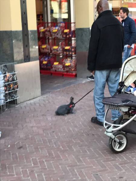 daily picdump 94 pics 4.html - 94 HD Photos | Premium Gallery 2017