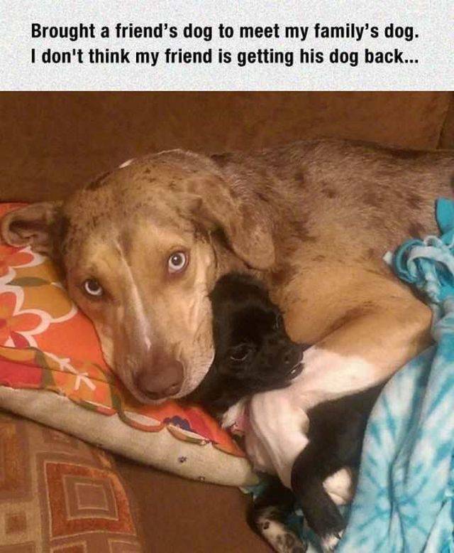 daily picdump 94 pics 4.html - 94 HD Photos | Premium Gallery 2017