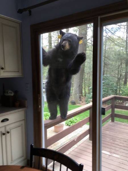 Morning Picdump