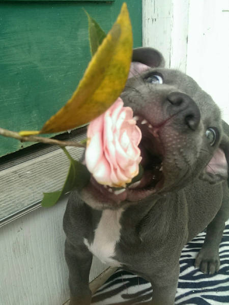 morning picdump 50 pics 24.html - 50 HD Photos | Premium Gallery 2017