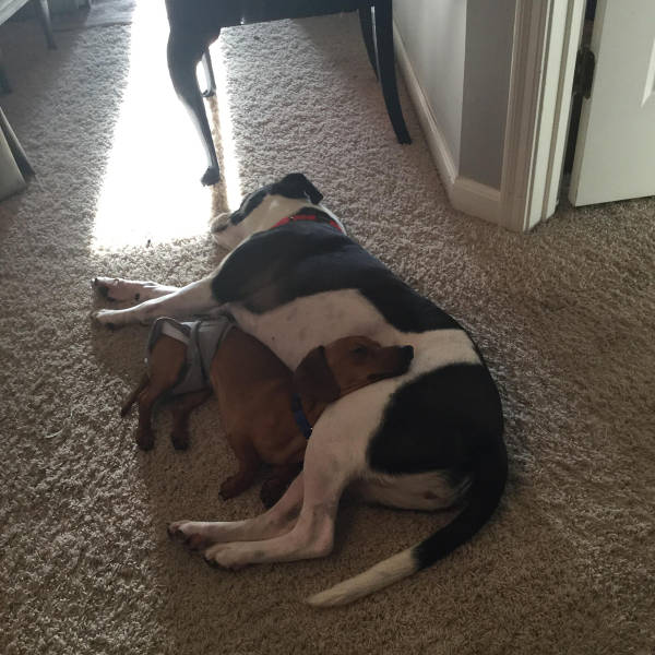 morning picdump 50 pics 24.html - 50 HD Photos | Premium Gallery 2017